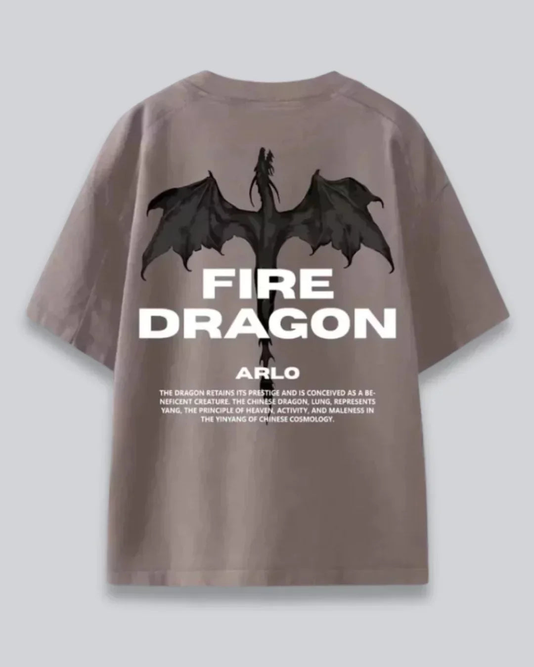 Arlo Fire Dragon Oversized T-Shirt – taupe graphic tee with a black dragon and bold FIRE DRAGON text, shown in flat lay
