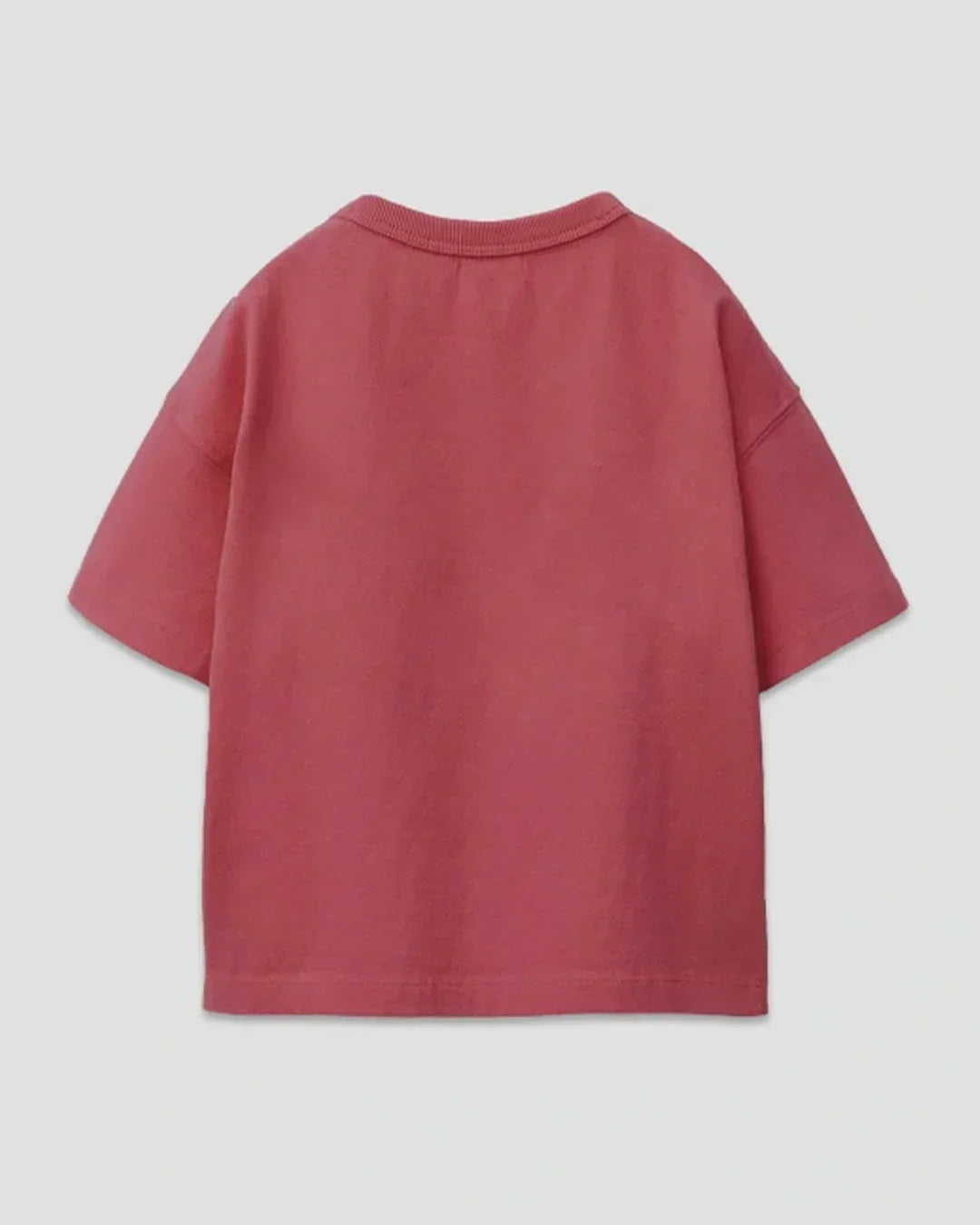Brick Plain Boxy Oversize T-Shirt by DKY – brick red, boxy fit, plain tee shown in flat lay