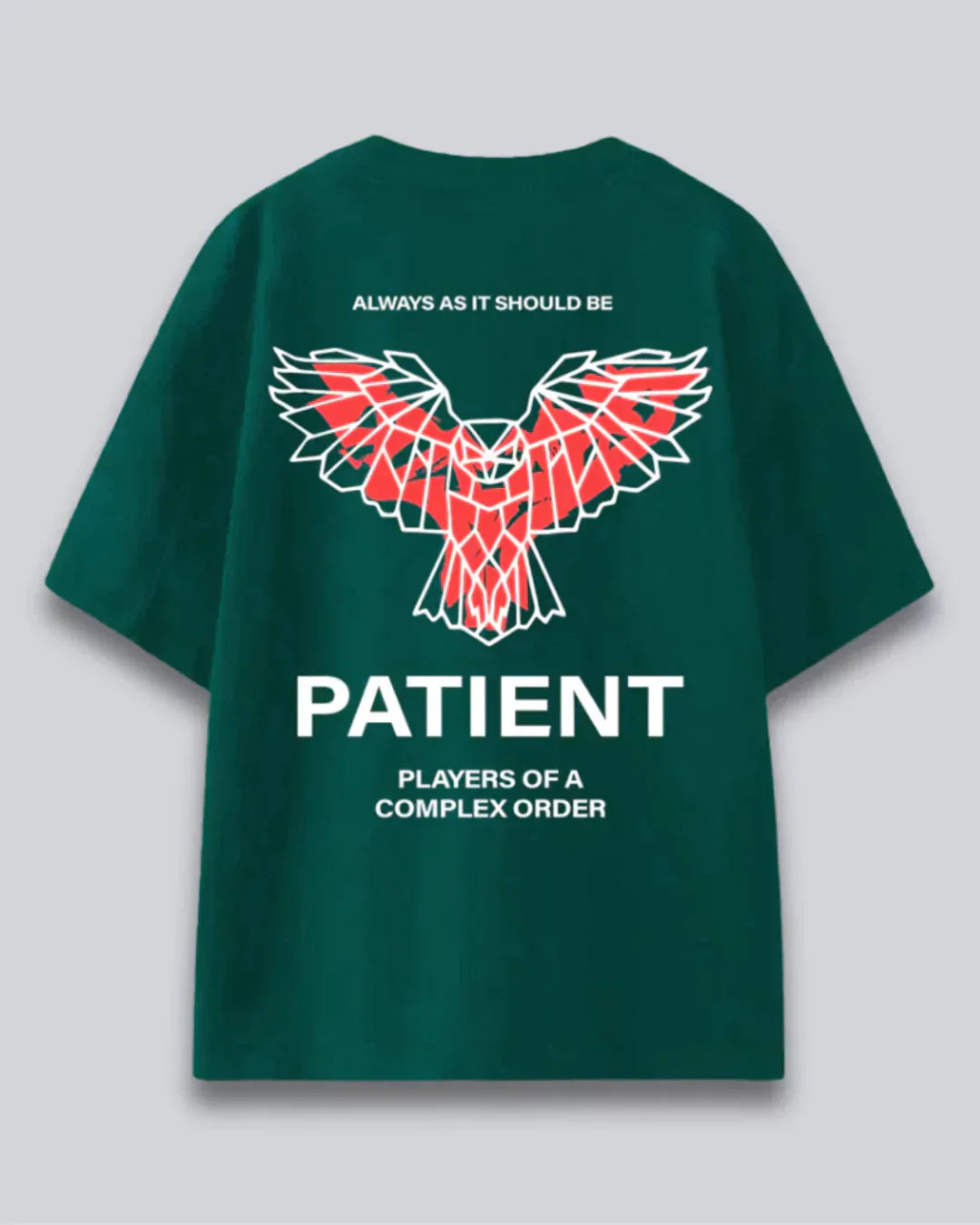 Arlo Patient Oversized T-Shirt